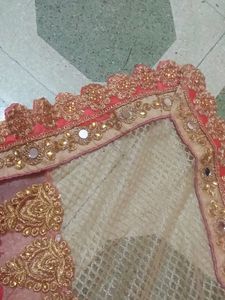 Half Net Sadi With Blause