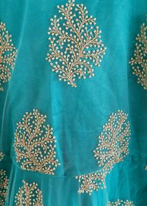 Party Wear Anarkali/Gown