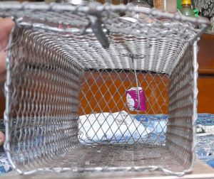 rat catcher and killer chuhedani trap