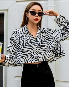 ZARA Women Zebra Print Crop Shirt