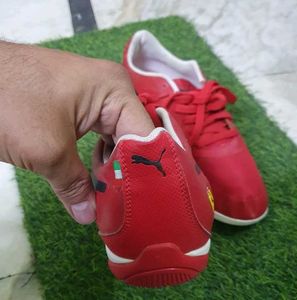 Puma Ferrari New Shoes
