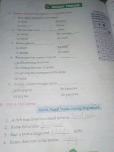 Blossom English Reader