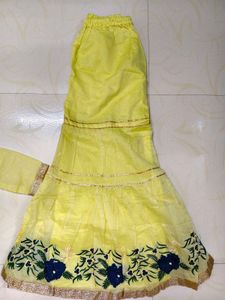 Elegant Kurta Set Totally New Not Used Even Once
