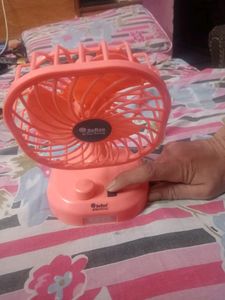 Fan With Light