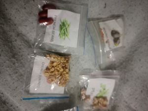 5 Vegetable Seeds