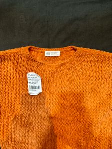 H&M Brand Round Nack Crop Winter Top