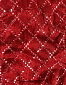 Red Embellished Blouse