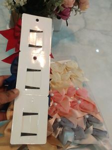 Coloured Hair Clips