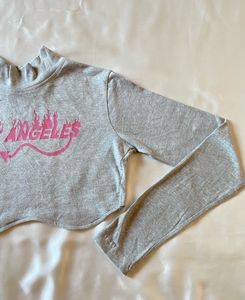 Stylecast X Hersheinbox Grey Crop Top