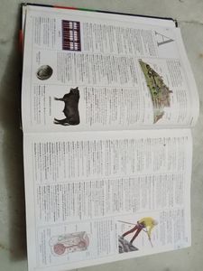 Dictionary