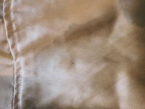 Satin Cream Pallazo