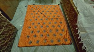 Orange Saree2