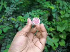 Mamaearth Lipstick 💄