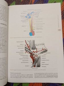 Anatomy Textbook