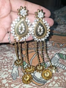 Elegant Dangler Earrings