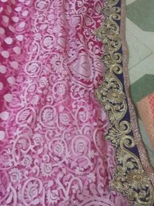 Net Sadi Blause And Paticot