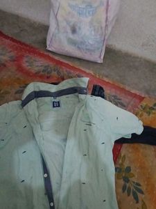 Stylish Light Green Shirt
