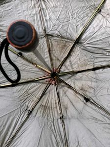Umbrella