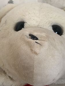Big Size Taddy Bear