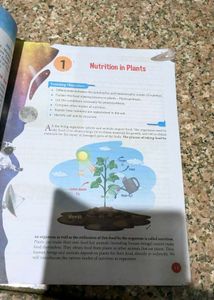 Science Class 8 cbse