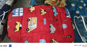 Babyhug Baby Sleeping Bag