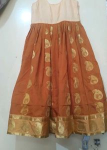 Elegant Paisley Gold Border Ethnic Gown