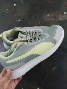 Puma Grey Sneakers _Unisex