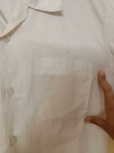 White Apron