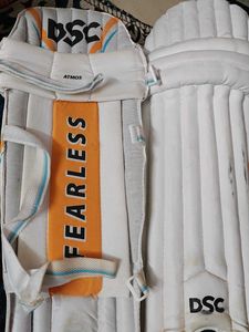 DSC Cricket Batting Pads