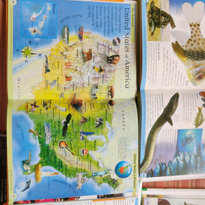 ✨Price drop✨ Young readers 5 encyclopaedia 🌸✨
