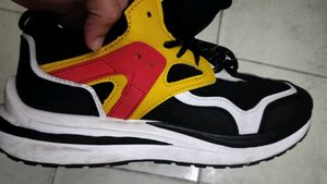 REVS PREMIUM SHOE UK6.5