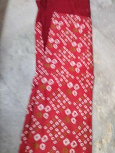 Embroidered Ethnic Skirt