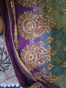 Embroidered Saaree