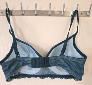 Enamor Teal Padded Lace Bra