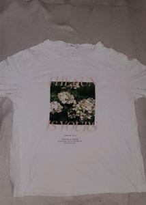 Mango Brand T-Shirt