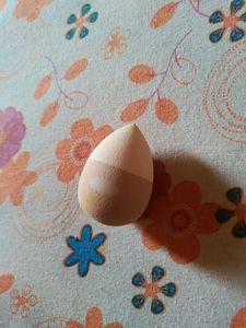 Makeup Brushes + Free Blender