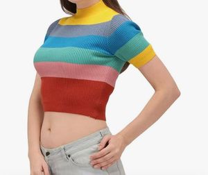Crop Top For Women