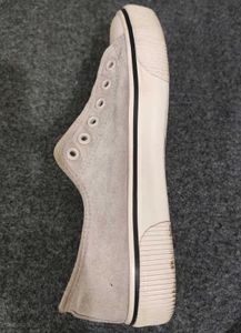 Everyday Light Lavender Canvas Shoe For College ✨