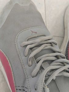 Sport Shoes