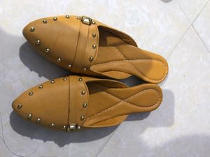 Pump Shoe