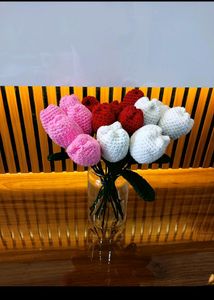 Any One Tulip For 99/- 🌷