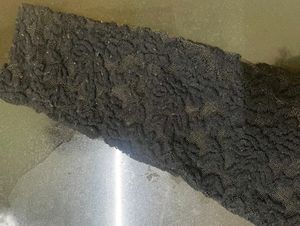Black Lace Top For Casual Wear