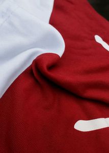 Crop T Shirt || Maroon &amp; White Cat Print