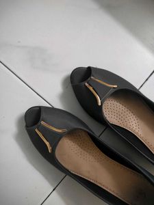 Gray Wedge Bellies