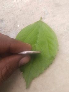 Oms Error Coin 5 Rupee