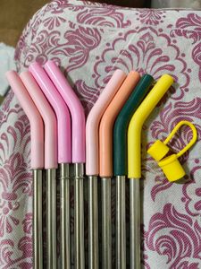House Of Quirk Stainless Steel Straw With Cap