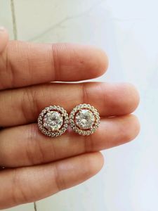 Exquisite Earrings