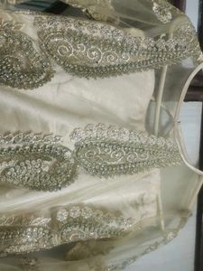 Elegant Embellished Dress