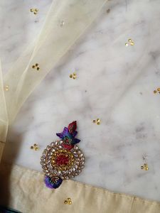 Elegant Lehenga Choli