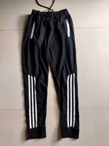 Combo Of Women Jogger Pants